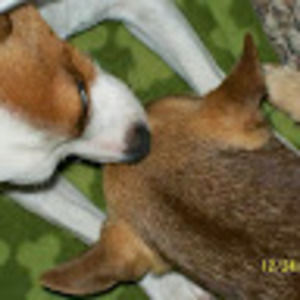 Meet your Posher, Tammy